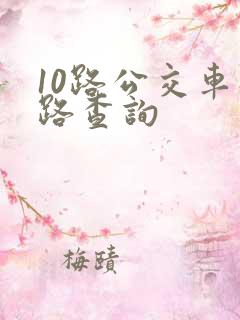 10路公交车线路查询 10路公交车线路查询