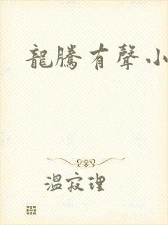 龙腾有声小说