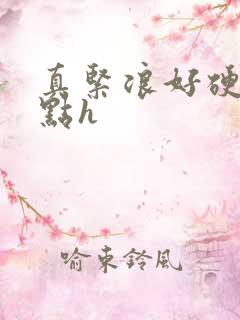 真紧浪好硬再快点h
