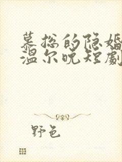 慕总的隐婚罪妻温尔晚短剧免费观看