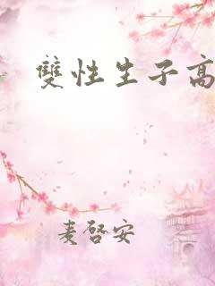 双性生子高辣文