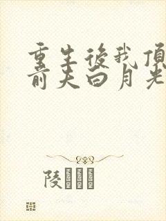 重生后我顶替了前夫白月光有声