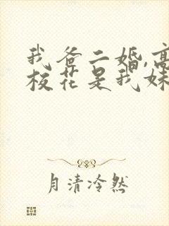 我爸二婚,高冷校花是我妹免