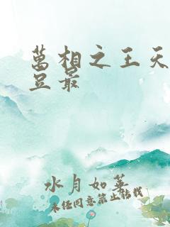 万相之王天蚕土豆最