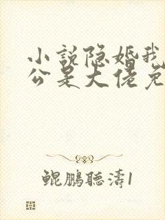 小说隐婚我的老公是大佬免费阅读