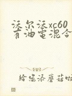 沃尔沃xc60有油电混合动力