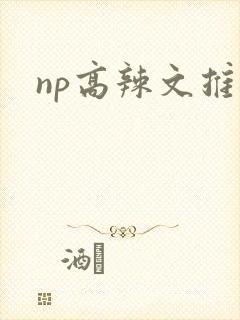 np高辣文推荐