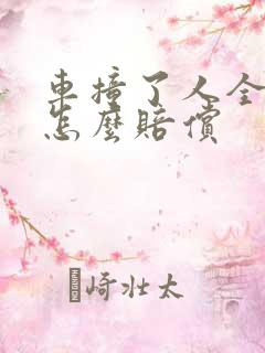 车撞了人全责 怎么赔偿