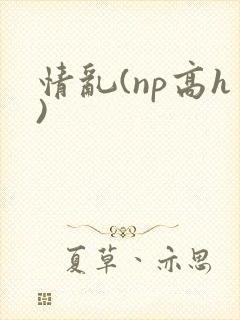 情乱(np高h)