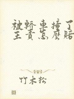 被轿车撞了对方主责怎么赔偿