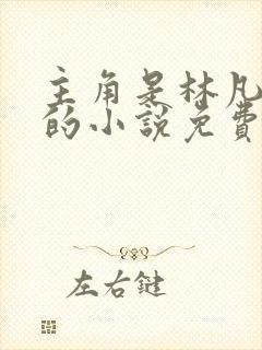 主角是林凡叶惜的小说免费阅读