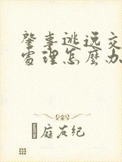 肇事逃逸交警不处理怎么办