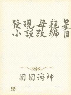 发现母亲是小姐小说改编自哪部小说