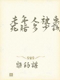 老年人被车祸撞死赔多少钱
