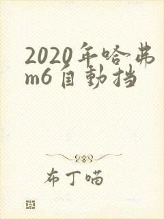 2020年哈弗m6自动挡