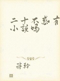 二十不惑有原著小说吗
