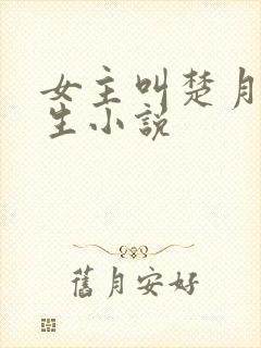 女主叫楚月的重生小说