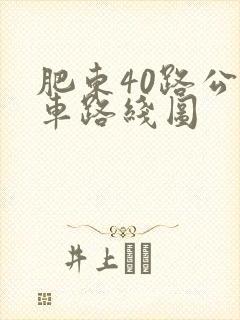 肥东40路公交车路线图