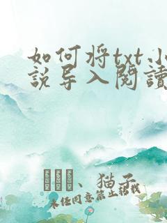 如何将txt小说导入阅读器