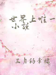 世界上唯一的你 小说