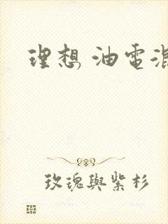 理想 油电混动