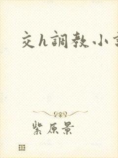 交h调教小说
