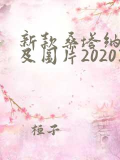 新款桑塔纳报价及图片2020款