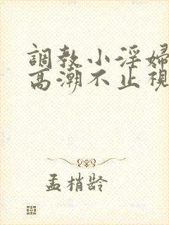 调教小淫妇失禁高潮不止视频