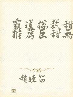 霸道总裁甜宠文推荐巨甜无虐