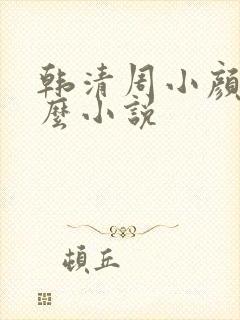 韩清周小颜是什么小说