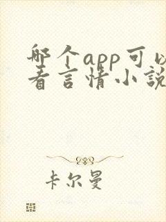 哪个app可以看言情小说