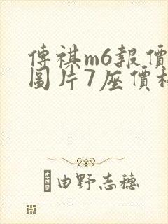 传祺m6报价及图片7座价格