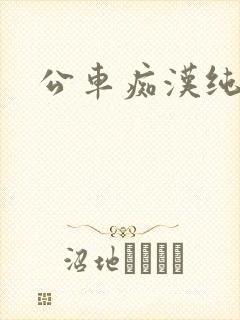 公车痴汉纯h