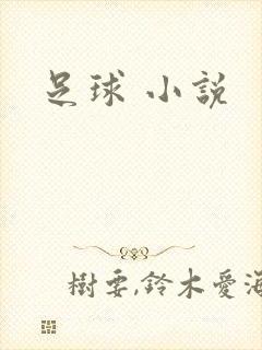 足球 小说