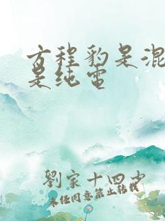 方程豹是混动还是纯电