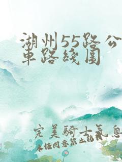 湖州55路公交车路线图 湖州55路公交车路线图