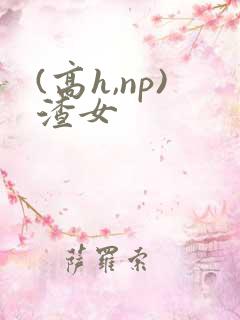 (高h,np)渣女
