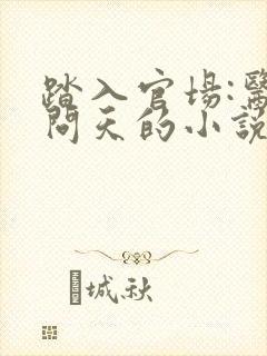 踏入官场:医道问天的小说