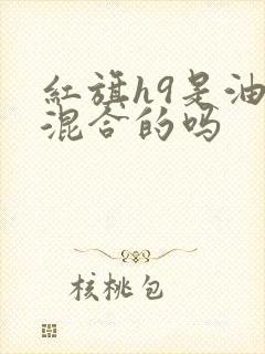红旗h9是油电混合的吗