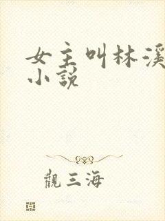 女主叫林溪月的小说