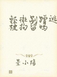 轻微剐蹭逃逸会被拘留吗