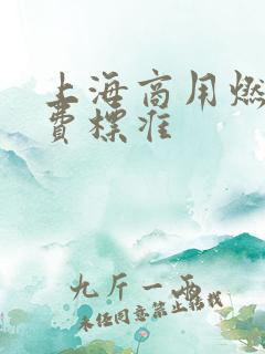 上海商用燃气收费标准