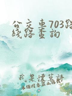 公交车703路线路查询