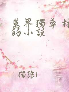 万界独尊 林枫的小说