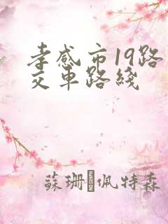 孝感市19路公交车路线 孝感市19路公交车路线