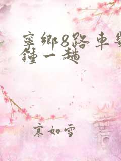 宁乡8路车几分钟一趟