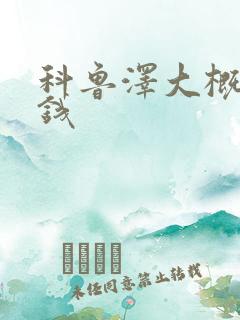 科鲁泽大概多少钱