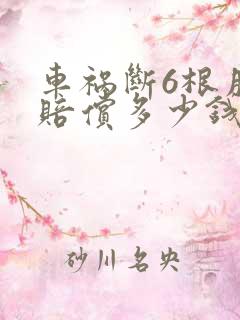 车祸断6根肋骨赔偿多少钱