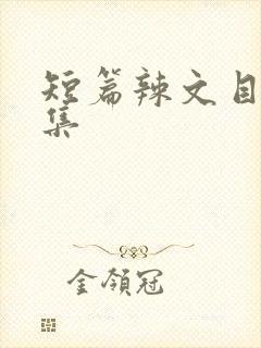 短篇辣文目录合集