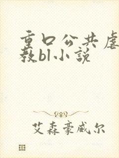 重口公共虐肉调教bl小说